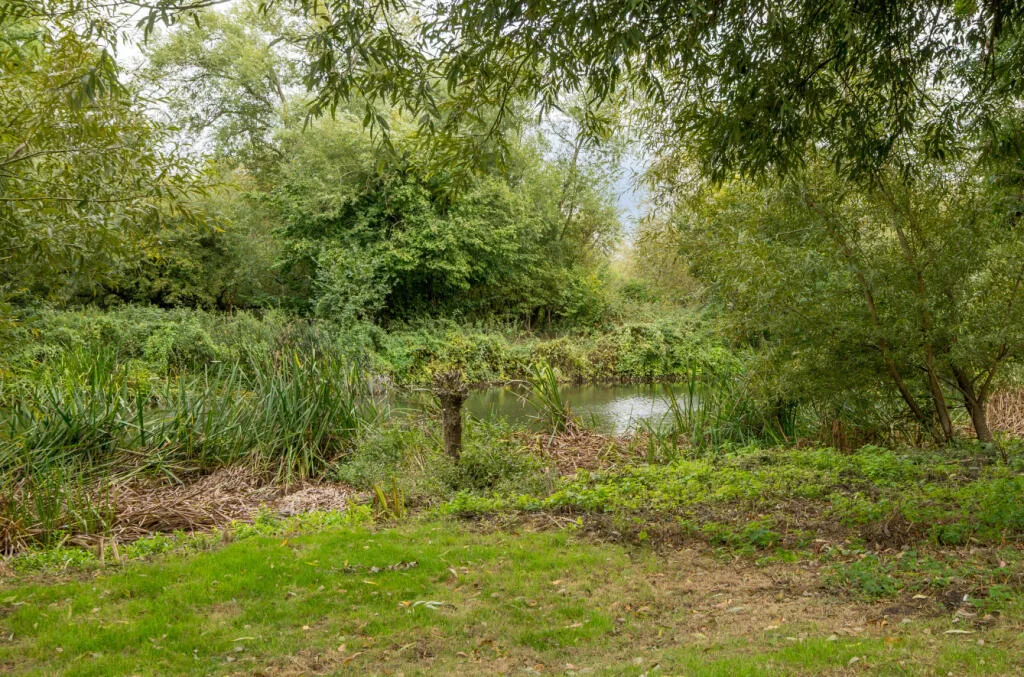 Property Of The Month - Sandford Lane, Woodley