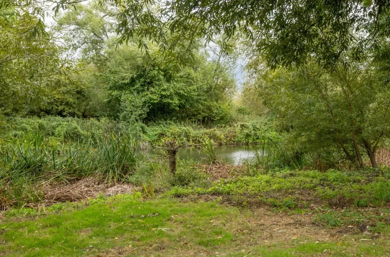 Property Of The Month - Sandford Lane, Woodley