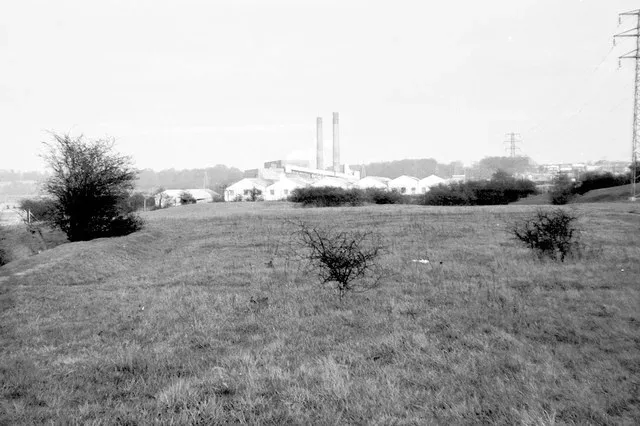 IMG_0173.jpeg