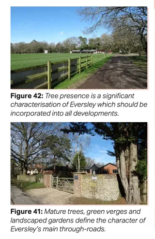 DGC Mature trees